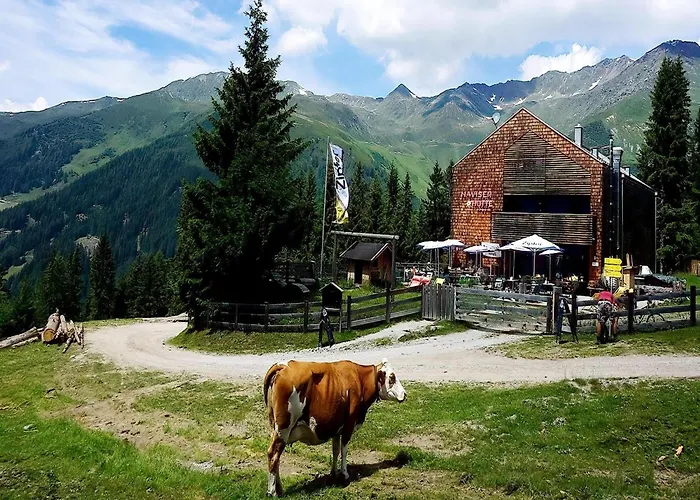 In Near Berger Alm * Navis